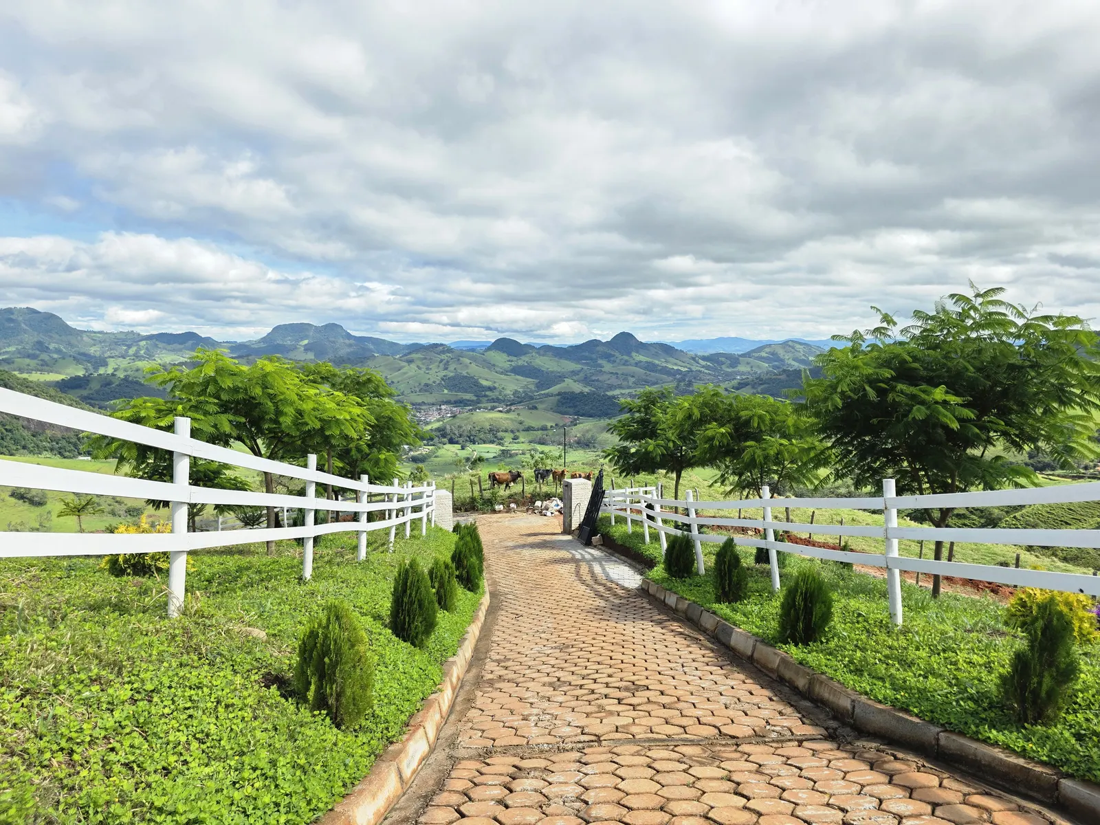 Vista aérea da estrada descendo a montanha