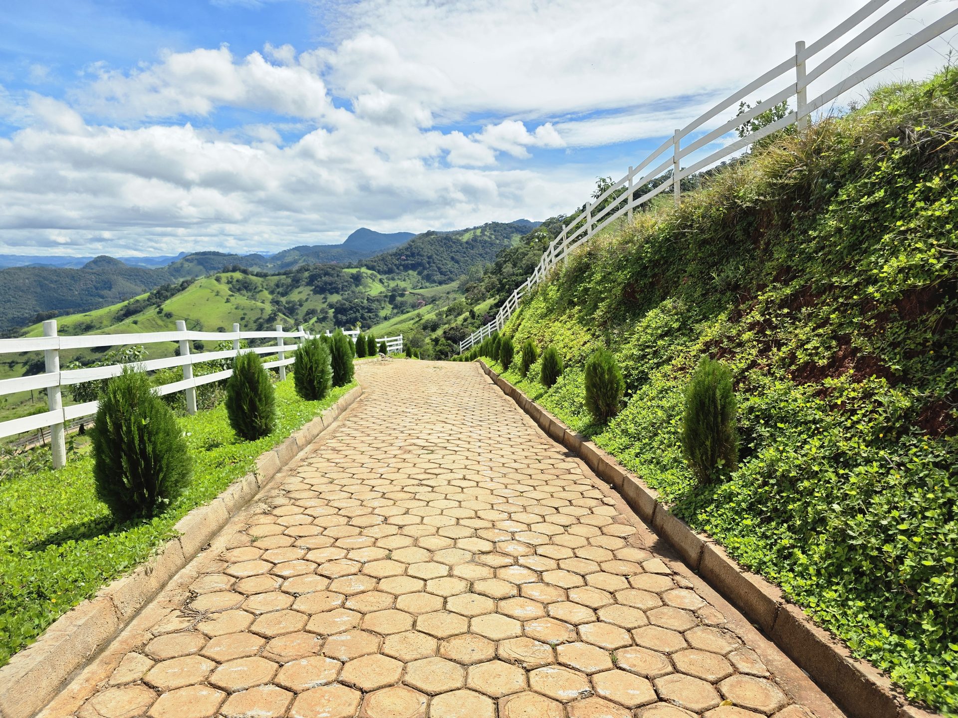 Estrada calçada com tuias, cerca branca e vista da serra