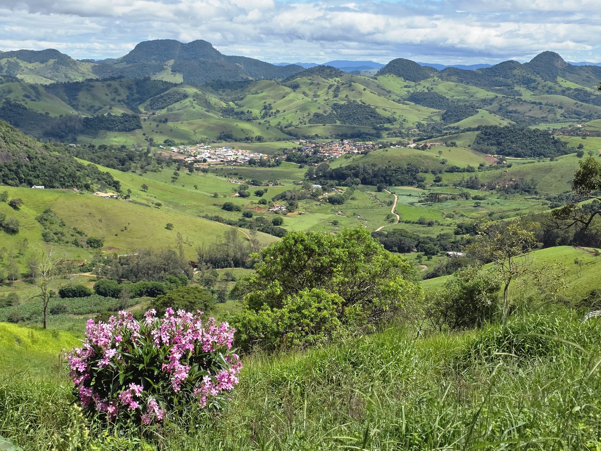 Flores com vista de Piranguçu e Serra da Mantiqueira