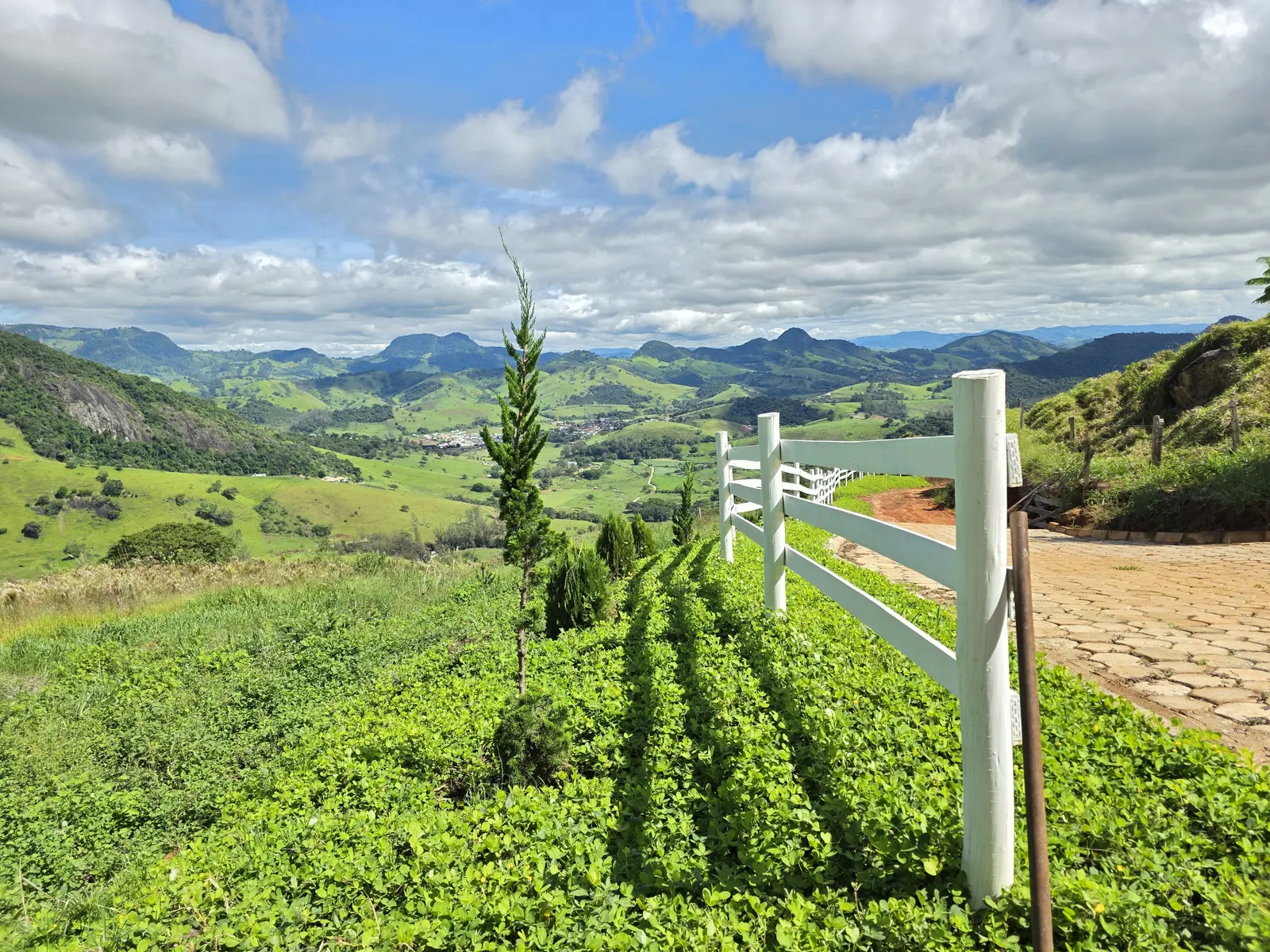 Estrada descendo entre tuias com panorama da Serra da Mantiqueira